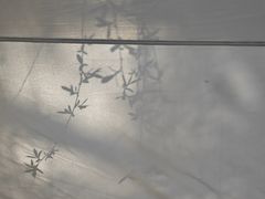 -苏州湾体育公园