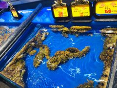 -万宝海鲜舫(劳动公园店)