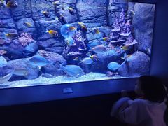 -成都浩海立方海洋公园