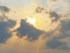 -鱼珠码头(轮渡站)