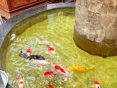-古莲·影院足道·按摩SPA(水上温泉店)