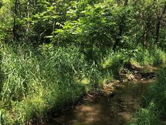 -碓臼峪自然风景区