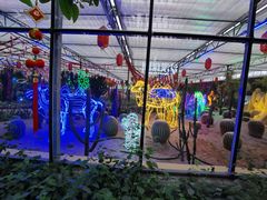 -南宫五洲植物乐园