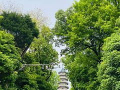-灵谷景区