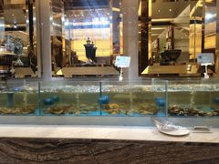 -盛宴标帜西餐厅龙虾.鲍鱼•牛排(重庆喜来登大酒店)