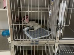 -康成宠物医院24H·CT·核磁共振
