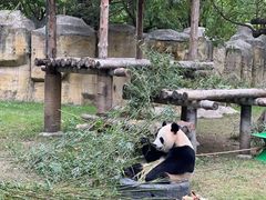 -上海野生动物园