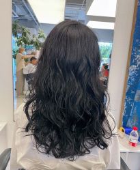 -Hair  Gallery