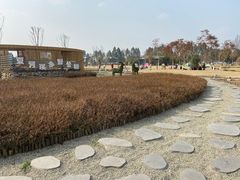 -夏河溪乡野公园