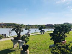 -上海海湾国家森林公园