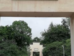 -大渡口区义渡公园