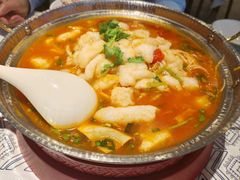 -苗小坛贵州酸汤鱼(百乐店)