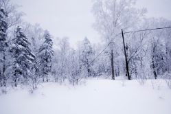 -大秃顶子山