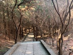 -红螺寺