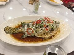 -状元楼(金溪路店)