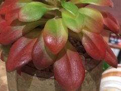 -好人民间小吃(镇江八佰伴店)