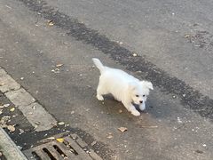 -半天妖烤鱼(六合万达欢乐港店)