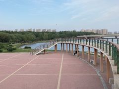 -丁香湖公园