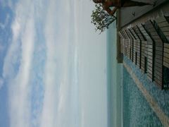 -芽庄喜来登水疗酒店