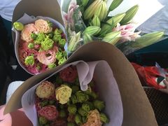 -秦美花卉(天朗·莱茵小城2期店)