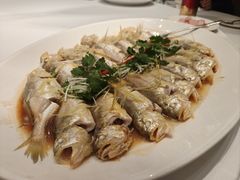 清蒸狮头鱼-迎悦轩(维景湾店)