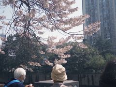 -红星桥(地铁站)