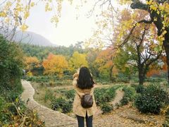 -塔川景区