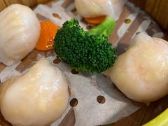 -广东大排档(国奥店)