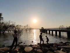 -宝安西湾红树林湿地公园