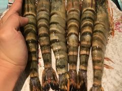 -御瀛日本料理