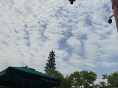 -星巴克(西安曲江银泰店)