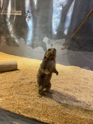 -酷嗒动物文化乐园(cutezoo西溪乐天城店)