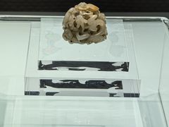-张掖市博物馆