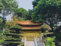 -深圳国际园林花卉博览园