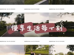 -王借岗森林公园