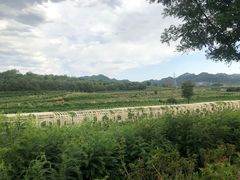 -北京张裕爱斐堡酒庄