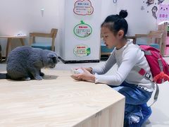 -藏猫猫咖啡主题馆(中央大道店)