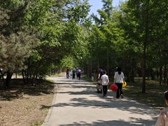 -廊坊市自然公园