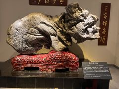 -青岛市博物馆