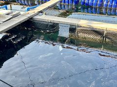 -蓝湾碧波·老字号·疍家非遗海上餐厅