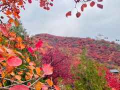 -周口店坡峰岭风景区