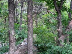 -棋盘山风景区