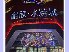 -鹏欣水游城