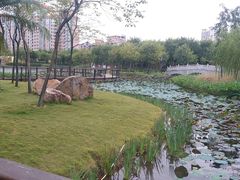 -映月湖公园