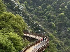 -少华山国家森林公园