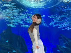 -海合安武汉极地海洋公园