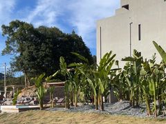 -MOJ coffee(瓯海泽雅水碓坑店)