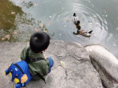 -白马涧龙池景区