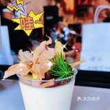 喝什么｜这家店的咖啡机，你绝对没见过！[得意]