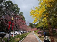 -广州市流溪河国家森林公园